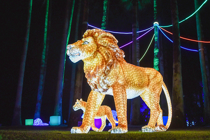 きらめく光の森でTwinkle Party！2021年とべ動物園イルミネーション